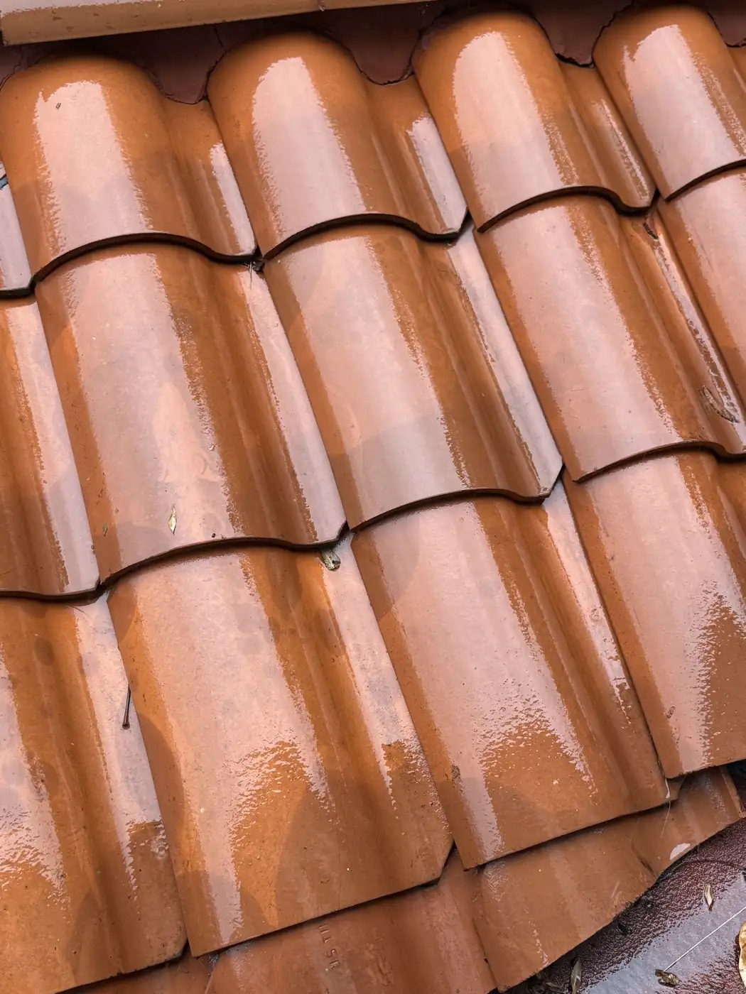 Damp roof tile close-up