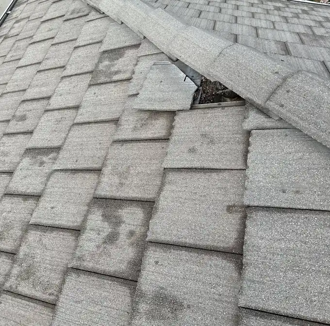 Gray roof tile units and rounded ridge piece